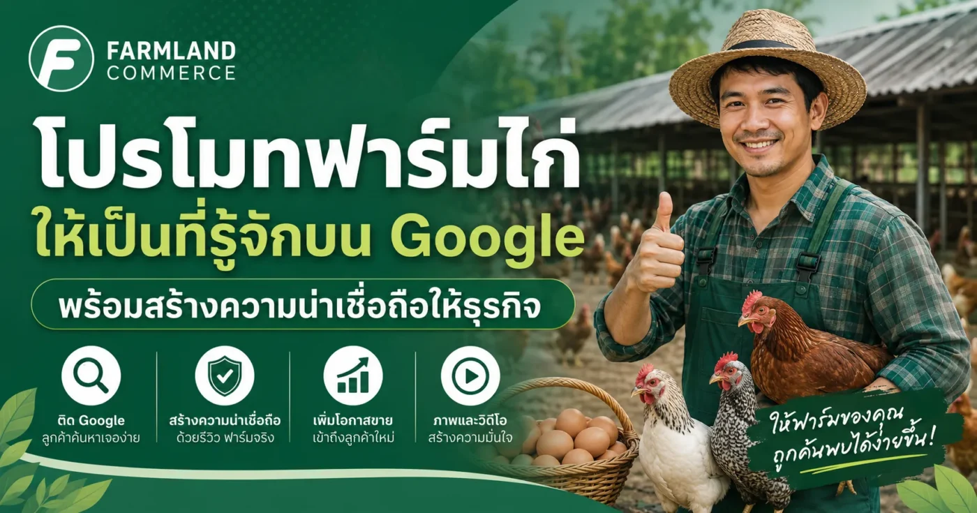 โปรโมทฟาร์มไก่บน Google เพื่อสร้างความน่าเชื่อถือและเพิ่มโอกาสเข้าถึงลูกค้า ขายไก่.com