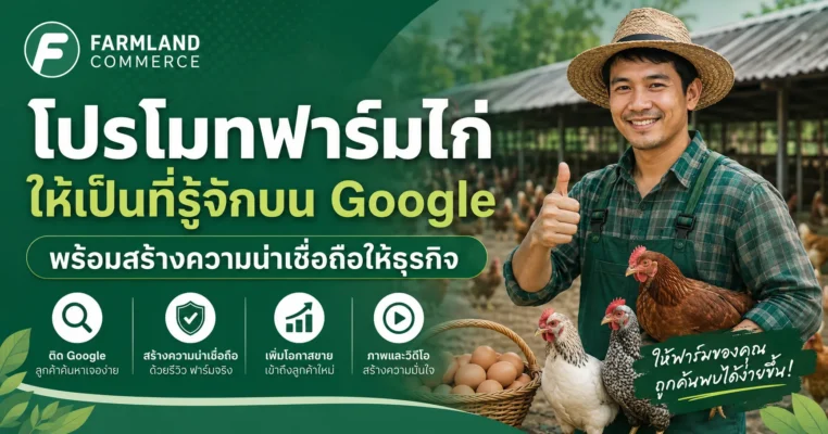 โปรโมทฟาร์มไก่บน Google เพื่อสร้างความน่าเชื่อถือและเพิ่มโอกาสเข้าถึงลูกค้า ขายไก่.com