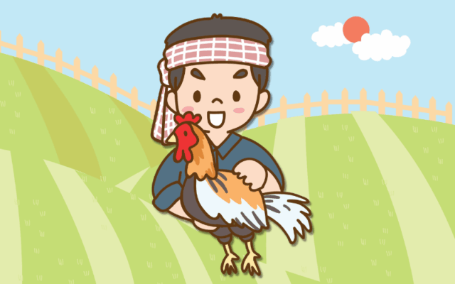 ขายไก่.com รวมรีวิวจากเกษตรกรนักรีวิวหน้าใหม่ รีวิวฟาร์มขายไก่ไข่ ไก่เนื้อ ไก่ชน ไก่พื้นเมือง ไก่สวยงาม รีวิวโรงเรือนเลี้ยงไก่ ผลผลิตไก่และแปรรูปไก่